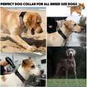 Martingale Dog Collars, Reflective Nylon Collar with Stainless Steel Chain, Adjustable Walking Training Dog Collars with Quick Release Buckle, Suitable for Small Medium Large Dogs(Black,M)