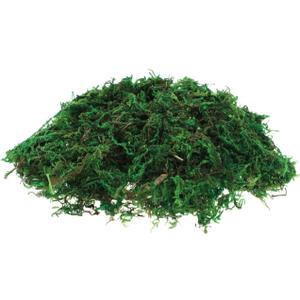 2 x DECHOUS Fake Moss: Artificial Preserved Moss for Plants Bonsai Crafts Fausse Mousse for Terrarium Plant Pot (About 20G)