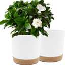 QCQHDU 10 inch Plant Pot, 2 Pack Planters for Indoor Plants with Drainage Holes & Saucer, Outdoor Flower Pots Home Garden Modern Decor