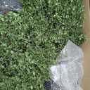 Artificial Topiary Ball Tree, 2 Pack Artificial Plants Outdoor, Ball Shaped Boxwood Topiary, Artificial Shrubs Potted for Indoor and Outdoor (22inch)