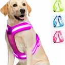 Light Up Dog Harness - LED Dog Harness Rechargeable, No Choke Illuminated Glow Dark Harness Vest Waterproof for Medium Large XL Dogs for Camping Night Safety Walking-Pink,M