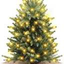 24 Inch Mini Tabletop Christmas Tree, Artificial Nordic Spruce Christmas Tree with 60 LED Light Beads and 100 PE Branch Tips Battery Powered for Home Office Xmas Decor