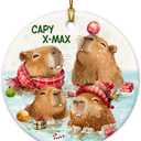 Funny Capybara Christmas Ornament 2025  Cute Capybara Gifts for Girls, Capybara Lovers  Animal Lover Gifts for Women, Daughter, Son, Family, Friends, Ceramic Hanging Ornament, Kids Stocking Stuffer