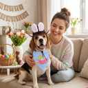 Pet Easter Costume Set Dog Cowboy Hat with Bunny Ears & Easter Egg Bandana Puppy Rabbit Ear Headwear & Reversible Spring Scarf Accessories Holiday Party Photo Props for Medium to Large Dogs