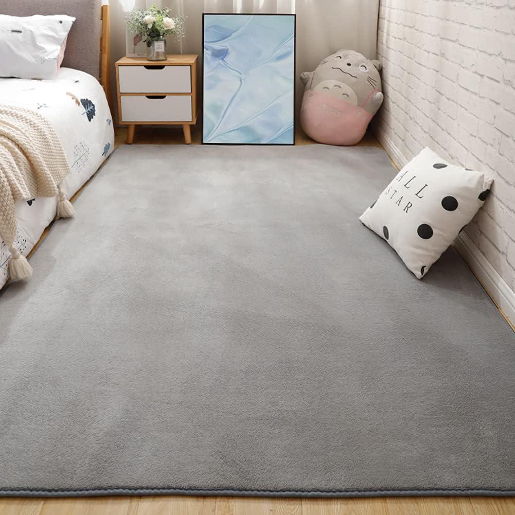 Soft Thicken Rug Fluffy Carpet,Shaggy Area Rugs for Bedroom, Non-Slip Floor Mats,Living Room Carpet,Large Rugs,Gray,160x80cm
