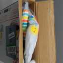 Bright Starts Playful Paradise Comfy Baby Bouncer Seat with Soothing Vibration and Toys, Unisex, 0-6 Months