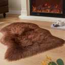 EasyJoy Ultra Soft Fluffy Shaggy Area Rug Faux Fur Rug Chair Cover Seat Pad Fuzzy Area Rug for Bedroom Floor Sofa Living Room (2 x 3 ft Sheepskin, Coffee)
