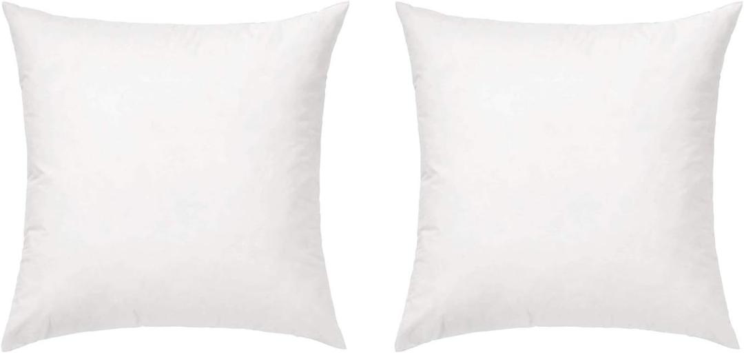 FBTS Basic Throw Pillow Inserts 18x18 Inch Set of 2 Square Sham Stuffer Down Alternative Pillow Forms for Decorative Cushions and Pillows