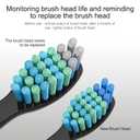 10 Pack Electric Toothbrush Replacement Heads Compatible with Fairywill FW-507/508/551/515/917/959/2011,FW-D1/D3/D7/D8,Toothbrush Replacement Heads Compatible with SEAGO 958/2316/SGKIDS-2303
