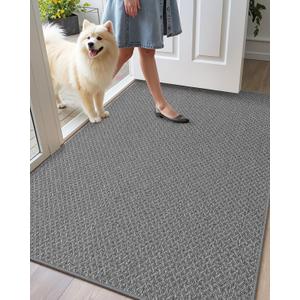 Color&Geometry Ultra Thin Indoor Door Mat Non Slip Rubber Backed Dirt Trapper 32"x48"(Rolled-up NO Creases), Rugs for Entryway, Front Door Mat Indoor Washable Low-Profile Entry Mat, Light Grey