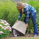 Landscape Rock Natural Sandstone Appearance Medium