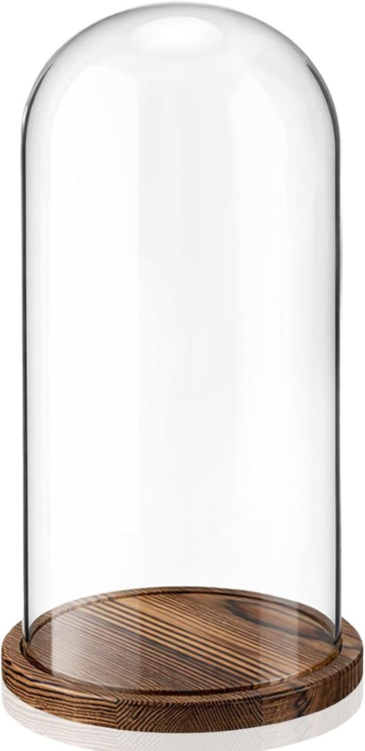 AceOrbit 16 Inch Glass Dome Cloche Display with Wood Base, Clear Tall Glass Dome, the Bell Jar Clear Cloche for Plants, Curios, Keepsakes, Heirlooms (8.66''16'')