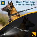 Crazy Felix No Pull Martingale Collar for Large Medium Small Dog Pitbull German Shepherd Doberman, Dog Collar Anti Pull with Buckle for Training Walking (Black, M/L-Neck 15-17", 1" Wide)