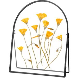 Double Glass Frame for Pressed Flowers Handmade, Metal Floating Picture Frame for Pressed Flower, Tabletop Display, Brass, ArcShaped, Black, 8x10 inches (FRAME ONLY) (8L" x 10W")