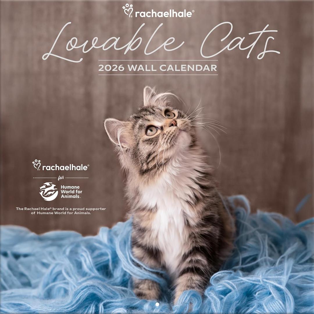 Turner Licensing, Rachael Hale Loveable Cats 2026 Wall Calendar