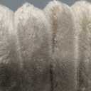 hyha Couch Covers for Dogs Washable, Non Slip Plush Dog Sofa Protectors, Fuzzy Pet Couch Covers for 3 Cushion Sofa Pet Friendly (Apricot, 27.6" x 82.7")