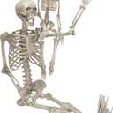 Posable Human Adult (5' 4") & Child (3') Skeleton Value 2 Pack - Life Size, Articulated Limbs & Bones Model Stay in Place, Weather Resistant Indoor/Outdoor Decoration- Anatomical Science & Biology