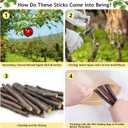 600g Organic Apple Sticks Small Animals Molar Wood Treats Toys for Chinchillas Guinea Pig Rabbits Hamster Gerbil Parrot Bunny Chew Stick Toys, 21.2 OZ (1.33 Pound (Pack of 1))