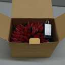 Upgraded 250 LED C6 Connectable Christmas String Lights Red and Green, 82FT Waterproof Christmas Twinkle Light Outdoor, Plug in Fairy Lights Indoor with 13 Modes & Timer for Christmas Tree Decorations