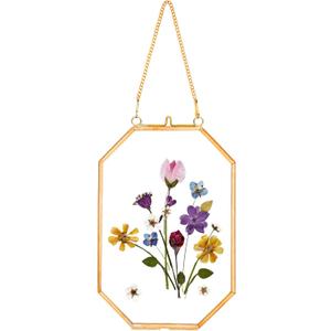 Pressed Flower Frames, Glass Floating Frames for Display Dried Plant Specimen Picture, Hanging Brass Photo Frame with Chain, Double Clear Glass, Vintage Wall Decor, Octagon, Gold, 4x6 Inches