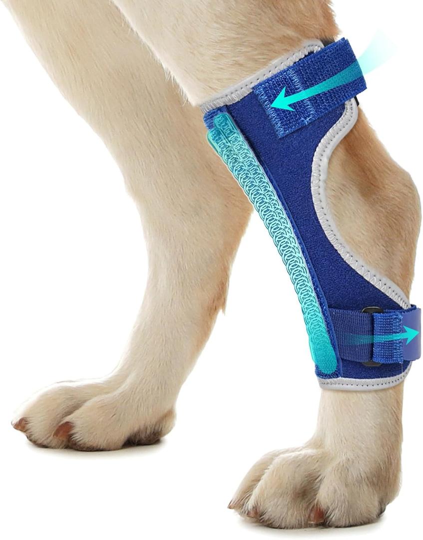 Dog Leg Braces for Back Leg Hock and Ankle Joint Support Brace for Weak Rear Legs with 2 Metal Strips, Reflective Edging for Sprain, Injury, Arthritis, Wound Recovery, Blue, L