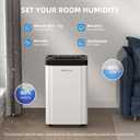 AIRPLUS 5500 Sq. Ft Dehumidifiers for Home, 80 Pints Dehumidifier for Basement with Drain Hose, Continuous Drainage, Intelligent Humidistat, Dehumidifier for bathroom, bedroom, Large Room, 1909