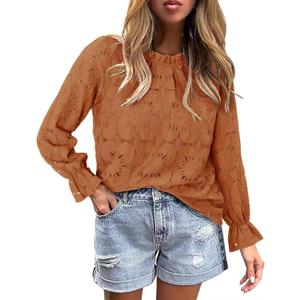StunShow Women Eyelet Shirts Long Sleeve Shirts for Women Lace Dressy Embroidered Blouses 2025 Fashion Top (Brown, S)