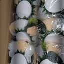 Hotop 24 Pcs Flower Balls Wedding Rose Centerpieces Silk Flower Kissing Balls Arrangement Artificial Hydrangea Flower Bouquet Faux Rose Floral Decoration (Champagne,White)