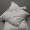 Utopia Bedding Throw Pillows Insert (Pack of 2, White) - 18 x 18 Inches Bed and Couch Pillows - Indoor Decorative Pillow