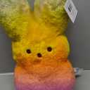 Animal Adventure | Shaggy Bunny Peeps | 15 Collectible Plush | Rainbow (15" Plush)