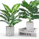 Der Rose 2 Pack Fake Plants Artificial Potted Faux Plants Indoor for Office Desk Home Farmhouse Decor