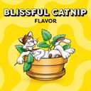 Temptations Classic Crunchy and Soft Cat Treats Blissful Catnip Flavor, 16 oz. Tub (1 Pound (Pack of 1))