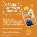 Earth's Best Organic Yogurt Smoothie Pouches, 24+ Months, Fruit Yogurt Smoothie for Toddlers 24 Months and Up, Banana Peach, 4.2 Ounce Resealable Pouch (Pack of 12) (EXP 01/15/27)