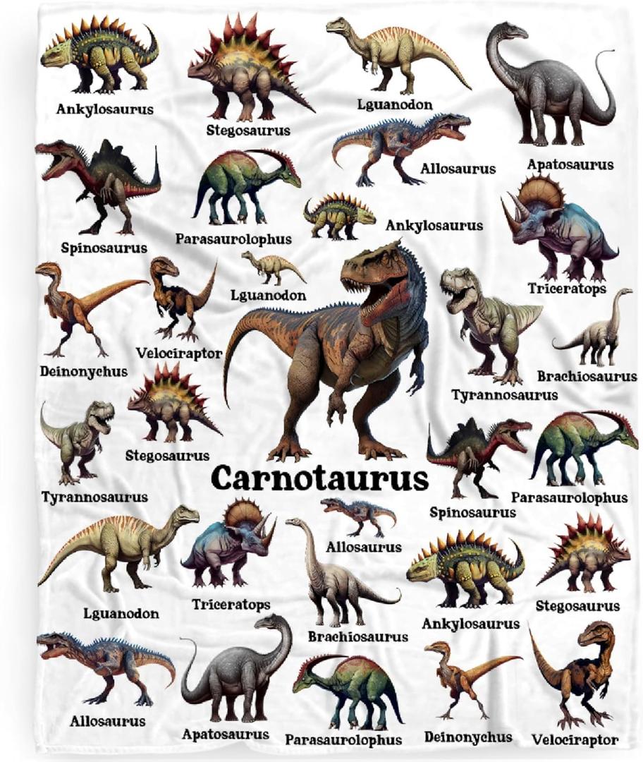 Dinosaur Blanket Gift for Boys, Jurassic Dino Dinosaurs Throw Blanket Gifts for Kids Girls Animal Wild Decor Plush Soft Lightweight Flannel Fleece Dinosaurs Blankets for Sofa Bed Chair 50x40In