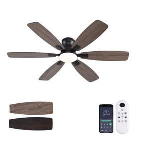 Ayaoty Ceiling Fans with Lights, 52 inch Low Profile Ceiling Fan , Flush Mount, Reversible Motor, Dimmable, Noiseless, Black Ceiling Fan for Bedroom, Indoor/Outdoor Use