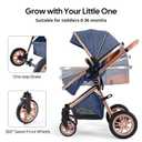Cochildor DuraFlex 2 in 1 Baby Stroller, Foldable Travel Stroller, Blue