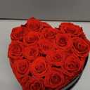 Preserved Roses Heart Shape Box Valentines Day Gifts for Her Mothers Day Forever Flowers (Red, 16 Roses)