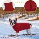 Lelepet Dog Sweater Turtleneck Pet Knitwear Pullover Dog Sweater for Small Dogs Cats Warm Doggy Sweatshirt Outfit for Fall Winter Cozy Pet Clothes for Indoor & Outdoor Walking, Chihuahua, Pomeranian (XS, Red)