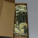 Floroom 24pcs Ivory Small Artificial Flowers Faux Silk Daisies Fake Wildflowers with Stems for DIY White Wedding Bouquets Floral Arrangements Party Decor Centerpieces Decorations (Vase Not Included)