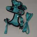 rabbitgoo Cat Harness and Leash for Walking, Escape Proof Soft Adjustable Vest Harnesses for Cats, Easy Control Breathable Reflective Strips Jacket, Emerald, M