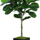 ASTIDY Fiddle Leaf Fig Tree Artificial 5FT - Faux Plant With Black Tall Planter - Fake Ficus Lyrata Floor Plant in Pot for Home Office Living Room Decor Indoor