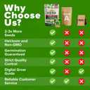 HOME GROWN 25 Herb Seeds for Planting 8,700+ Non-GMO Heirloom Seeds | Extra Large Variety Pack Herb Kit  Indoor Outdoor & Hydroponic | Culinary Seed Set | Grow Your Own Herbs | Gardening Gift