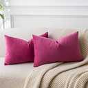 JUSPURBET Throw Pillow Covers Set of 2 Decorative Velvet Pillow Covers for Couch Sofa Bed Soft Lumbar Cushion Covers with Invisible Zipper for Living Room Home Decor,Rose Red,12x20 inch