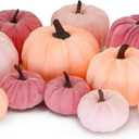 12 Faux Flocked Pumpkins, Perfect for Fall Harvest, Halloween, or Thanksgiving Table Centerpieces(12, Rose red, Purple, and Pink)