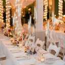 4pcs 5 Arm Acrylic Candelabra,Clear Candle Holder for Wedding,45.7inch Tall Floor Candle Holders for Ceremony Birthday Party Home Decoration Fit 0.8 LED Candles