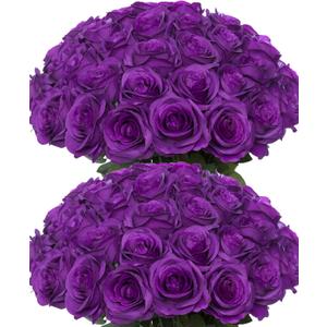 50pcs Artificial Roses Flowers in Bulk,Realistic Silk Fake Rose with Long Stem for Wedding Centerpieces Bouquet Party Floral Arrangement Home Decoration (Purple)