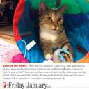 365 Cats Page-A-Day Calendar 2022: The World's Favorite Cat Calendar