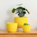 Ton Sin Ceramic Flower Pots,Yellow Plant Pots for Indoor Plants,4.1+5.1+6.5 inch Ceramic Plant Pots with Tray,Medium Indoor Planters for Aloe Cactus Decorative Pots with Drainage Hole (Set of 3)