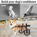 for Medium to Large Dogs,Dog Wheelchair for Back Legs, 2-Wheel Adjustable Mobility Aid for Dogs, Lightweight Aluminum Alloy Frame with Large Rubber All-Terrain Wheels, Size L