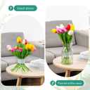 Spiral Ikebana Stem Holder,2PCS Spiral stem Holder for Flowers, Spiral DIY Bouquet Twister Flower Arrangement Holder(Transparent Large+Smal)